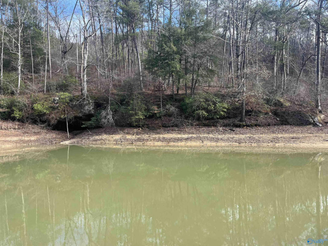 LOT 41 SIPSEY OVERLOOK, DOUBLE SPRINGS, AL 35553, photo 1 of 14