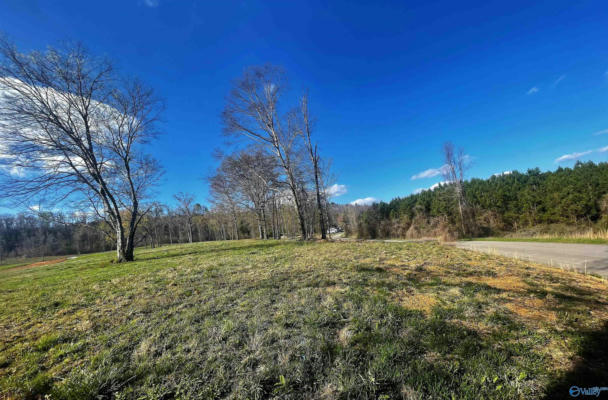 LOT 17 THOMPSON ROAD # LOT 17, ALTOONA, AL 35952, photo 4 of 4