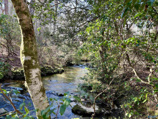 LOT 1 BEAR CREEK ROAD SE, FORT PAYNE, AL 35967, photo 5 of 8