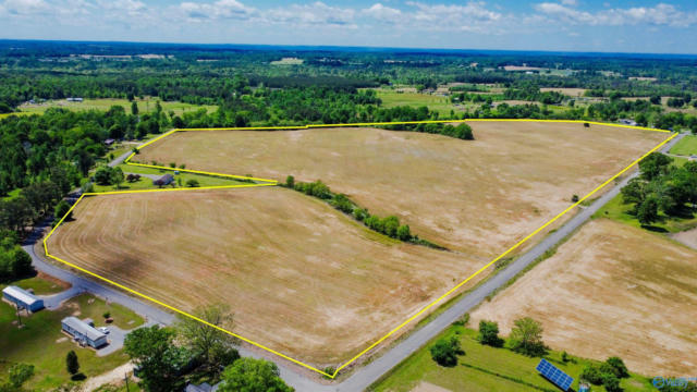 58 COUNTY ROAD 68, SECTION, AL 35771 - Image 1