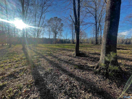 LOT 20 THOMPSON ROAD # LOT 20, ALTOONA, AL 35952, photo 3 of 6