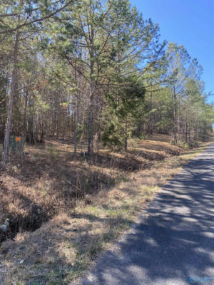 LOT 1 BLK 2 ALYSON AVENUE, FORT PAYNE, AL 35968, photo 2 of 4