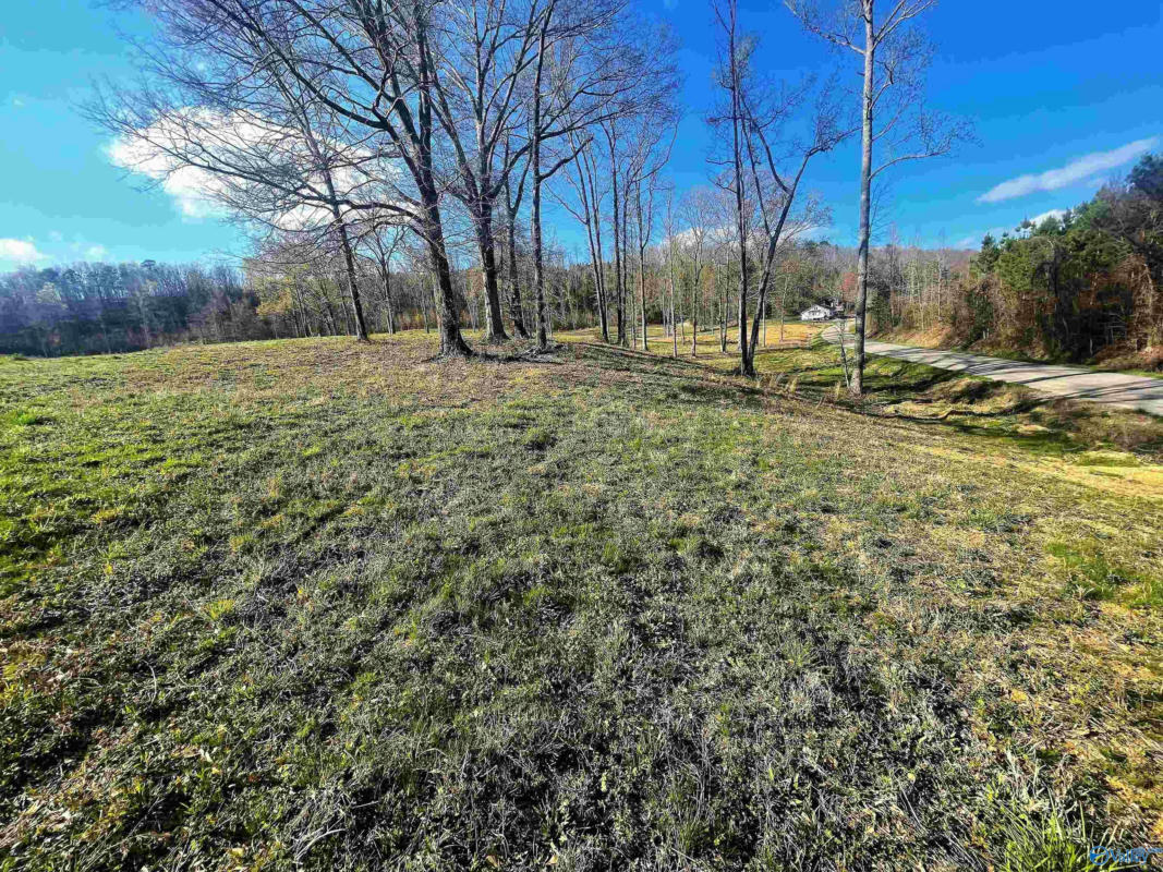 LOT 16 THOMPSON ROAD # LOT 16, ALTOONA, AL 35952, photo 1 of 4