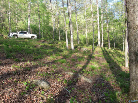 LOT 25 LEGENDARY PARKWAY, ARLEY, AL 35541, photo 5 of 6