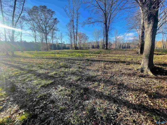 LOT 20 THOMPSON ROAD # LOT 20, ALTOONA, AL 35952, photo 4 of 6