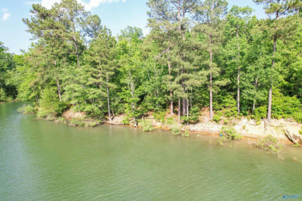 LOT # 6 STILLWATER COVES, DOUBLE SPRINGS, AL 35553, photo 3 of 14