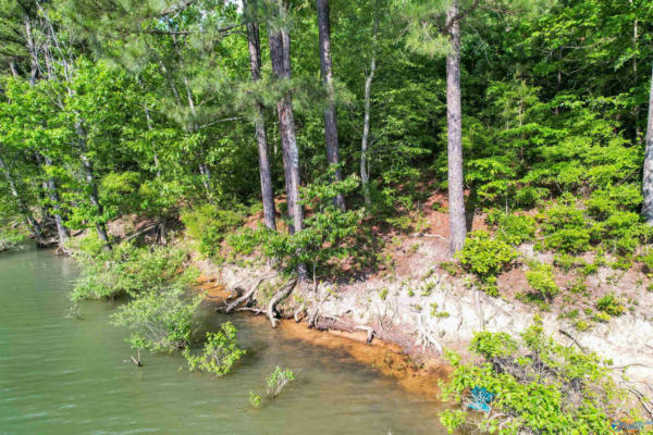 LOT # 6 STILLWATER COVES, DOUBLE SPRINGS, AL 35553, photo 4 of 14