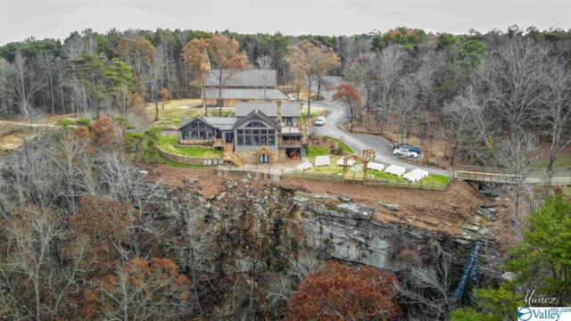 LOT 1 BURNS BLUFF LOOP, ALBERTVILLE, AL 35951, photo 2 of 44