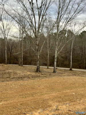 LOT 2 THOMPSON ROAD, ALTOONA, AL 35952, photo 3 of 44