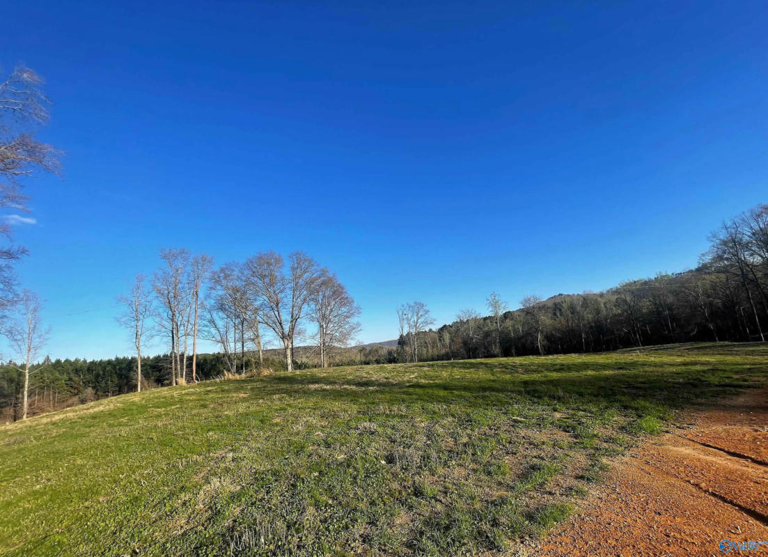 LOT 30 THOMPSON ROAD # LOT 30, ALTOONA, AL 35952, photo 1 of 3