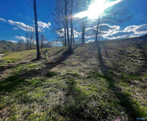 LOT 16 THOMPSON ROAD # LOT 16, ALTOONA, AL 35952, photo 2 of 4