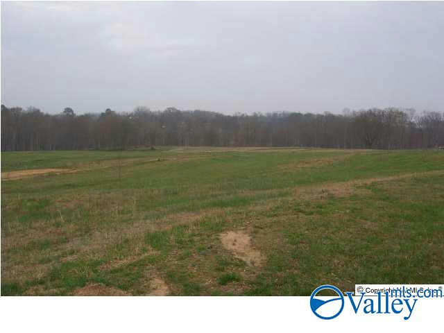 35 AC ELLIS ROAD, BOAZ, AL 35957, photo 1 of 7