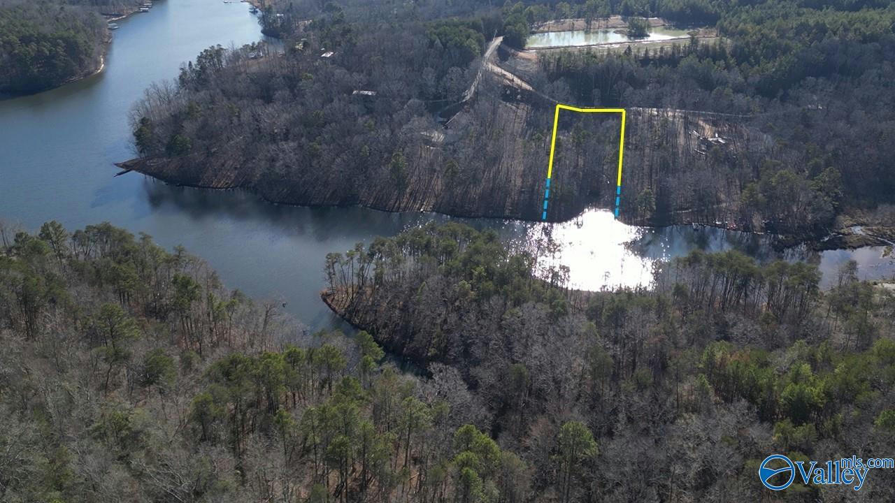 52 CANEY COVE RD, PHIL CAMPBELL, AL 35581, photo 1 of 8