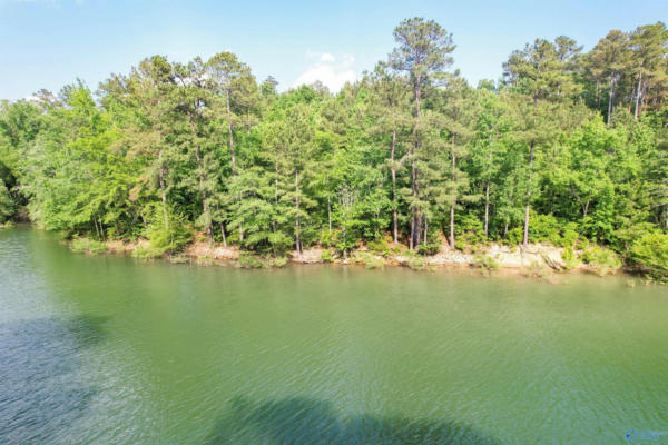 LOT # 6 STILLWATER COVES, DOUBLE SPRINGS, AL 35553, photo 2 of 14