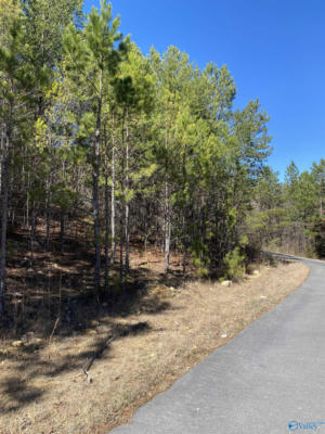 LOT 1 BLK 2 ALYSON AVENUE, FORT PAYNE, AL 35968, photo 4 of 4