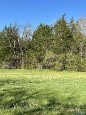 TRACT 2 SPRING VALLEY ROAD, TAFT, TN 38488 - Image 1