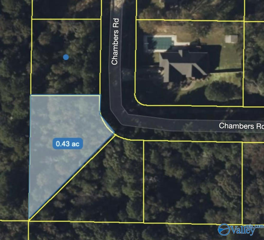 LOT 25 CHAMBERS ROAD, ARAB, AL 35016, photo 1