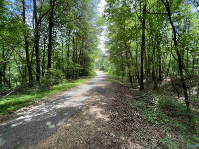 64+/- ACRES STATE HIGHWAY 13, LYNN, AL 35575, photo 5 of 11