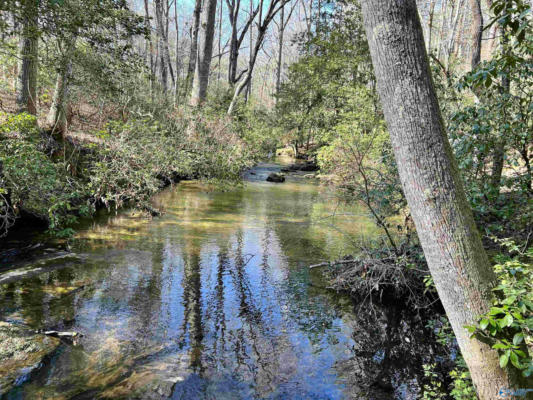 LOT 1 BEAR CREEK ROAD SE, FORT PAYNE, AL 35967, photo 4 of 8