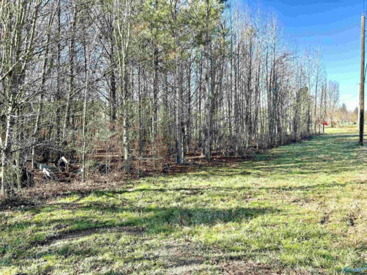 LOT W HWY 53, ARDMORE, AL 35739 - Image 1