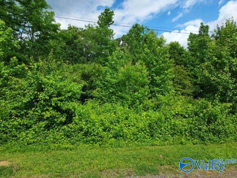 LOT DOLPHIN POINT DRIVE, LANGSTON, AL 35755, photo 1 of 2