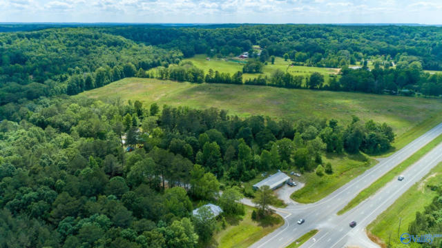 .70 ACRES FRANK LANE, LEIGHTON, AL 35646, photo 3 of 9