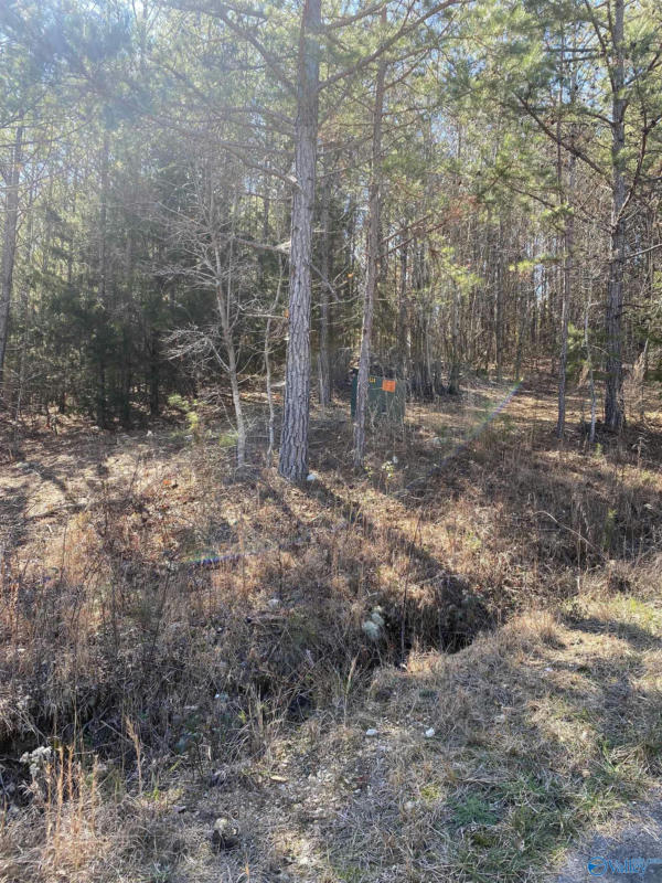 LOT 1 BLK 2 ALYSON AVENUE, FORT PAYNE, AL 35968, photo 1 of 4