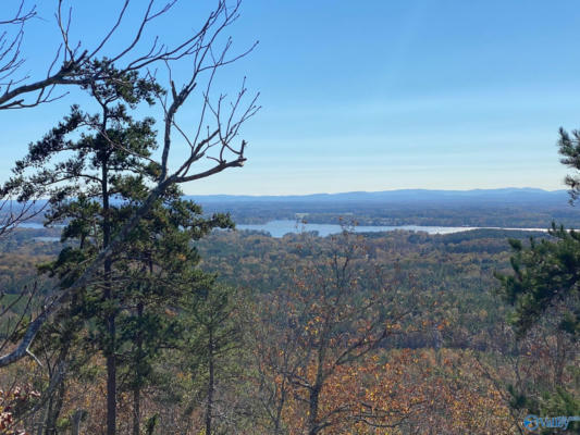 LOT 83 CRUICKSHANK LANE, LEESBURG, AL 35983, photo 2 of 4