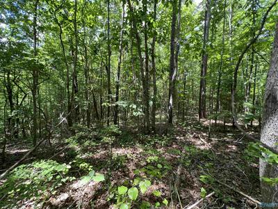 64+/- ACRES STATE HIGHWAY 13, LYNN, AL 35575, photo 2 of 11