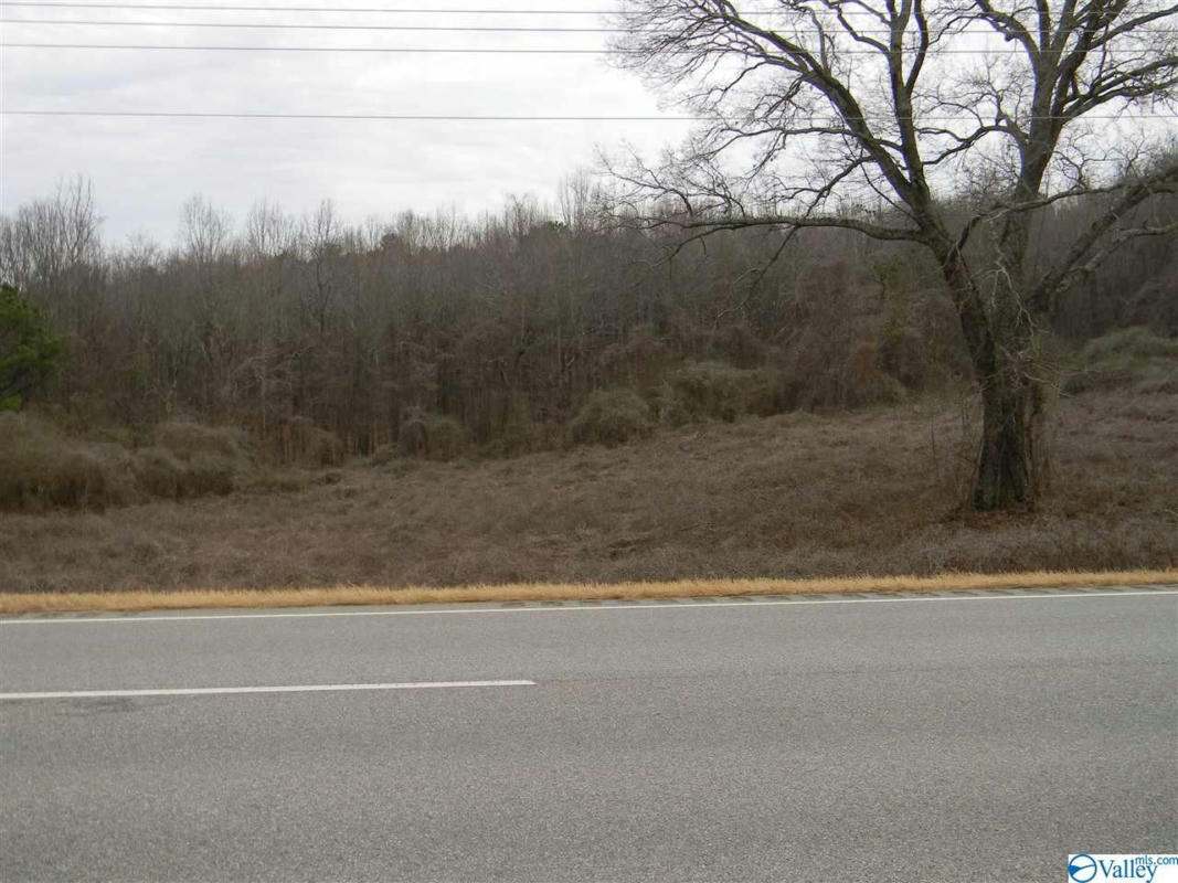 LOT # 2 US HIGHWAY 411, LEESBURG, AL 35983, photo 1 of 6