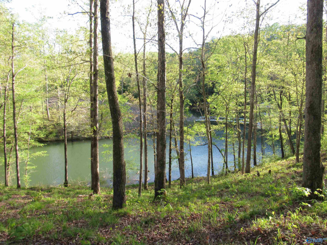 LOT 25 LEGENDARY PARKWAY, ARLEY, AL 35541, photo 1 of 6