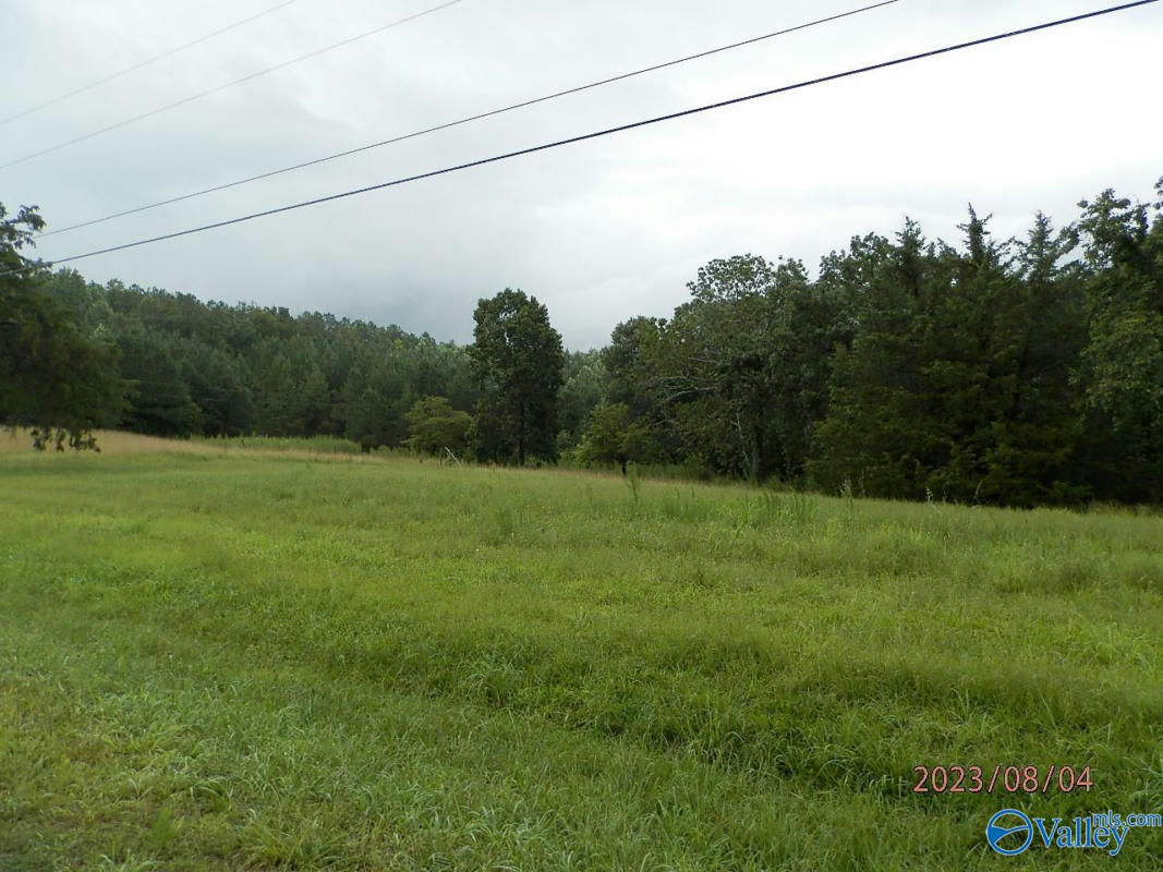 4243 COTTON GIN RD, SPRUCE PINE, AL 35585, photo 1 of 23