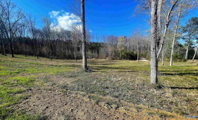 LOT 12 THOMPSON ROAD # LOT 12, ALTOONA, AL 35952, photo 3 of 3