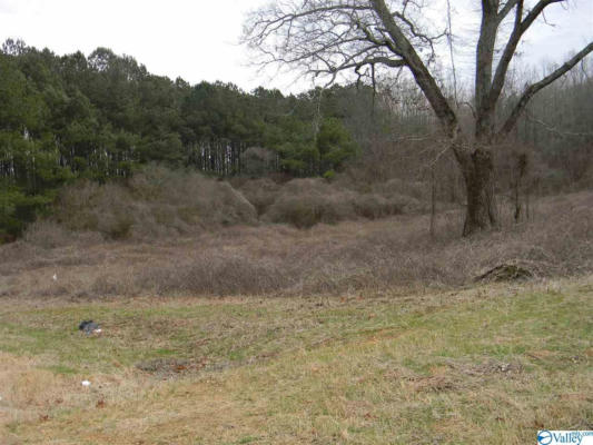 LOT # 2 US HIGHWAY 411, LEESBURG, AL 35983, photo 2 of 6