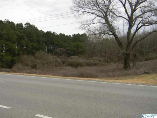 LOT # 2 US HIGHWAY 411, LEESBURG, AL 35983, photo 3 of 6