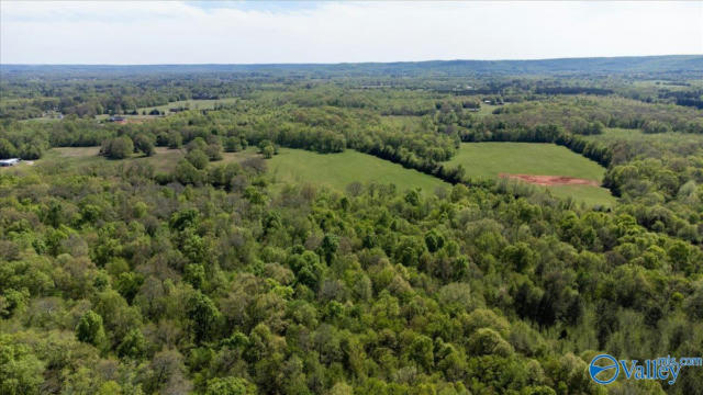 55 ACRES DAY STREET, MOULTON, AL 35650, photo 5 of 28