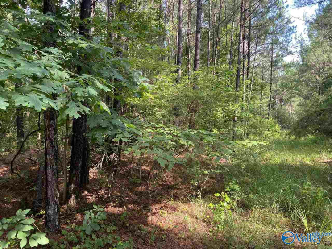 119 ACRES SANDOAK ROAD, HAMILTON, AL 35570, photo 1 of 3