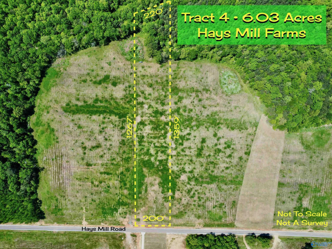 TRACT 4 HAYS MILL ROAD, ELKMONT, AL 35620, photo 1 of 9