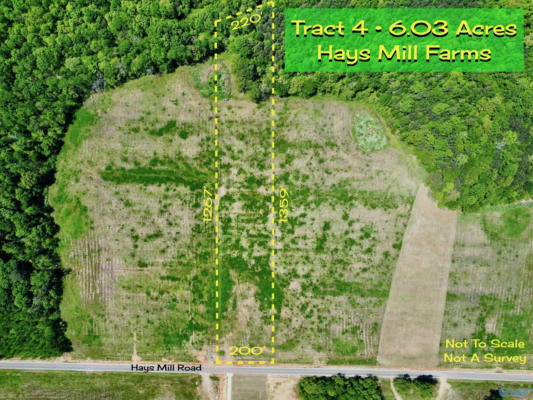TRACT 4 HAYS MILL ROAD, ELKMONT, AL 35620 - Image 1