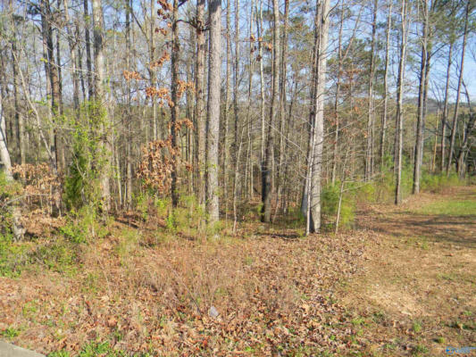 LOT 13 CADE CIRCLE, LEESBURG, AL 35983 - Image 1