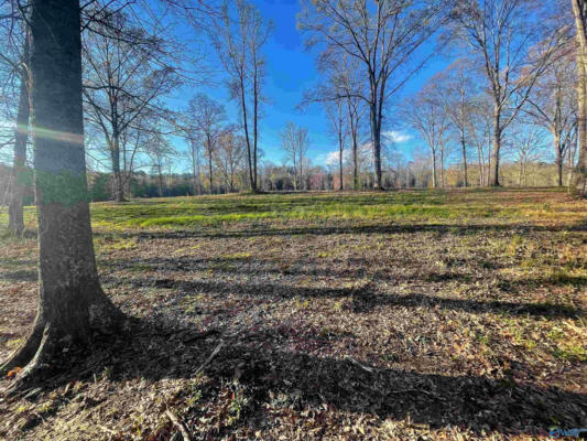 LOT 20 THOMPSON ROAD # LOT 20, ALTOONA, AL 35952, photo 5 of 6