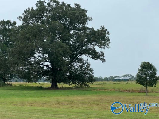 LOT 3 TRACT A SUMMERFORD ORR ROAD, FALKVILLE, AL 35622 - Image 1