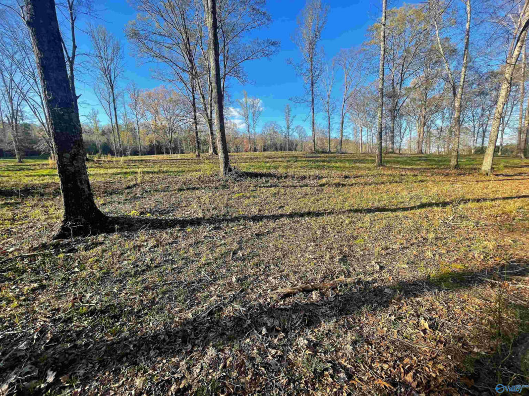 LOT 20 THOMPSON ROAD # LOT 20, ALTOONA, AL 35952, photo 1 of 6