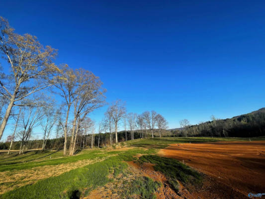 LOT 30 THOMPSON ROAD # LOT 30, ALTOONA, AL 35952, photo 2 of 3