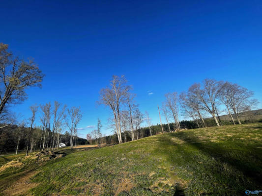 LOT 30 THOMPSON ROAD # LOT 30, ALTOONA, AL 35952, photo 3 of 3