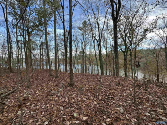 LOT 19 MOHAWK CLIFF ROAD, OHATCHEE, AL 36271, photo 2 of 14