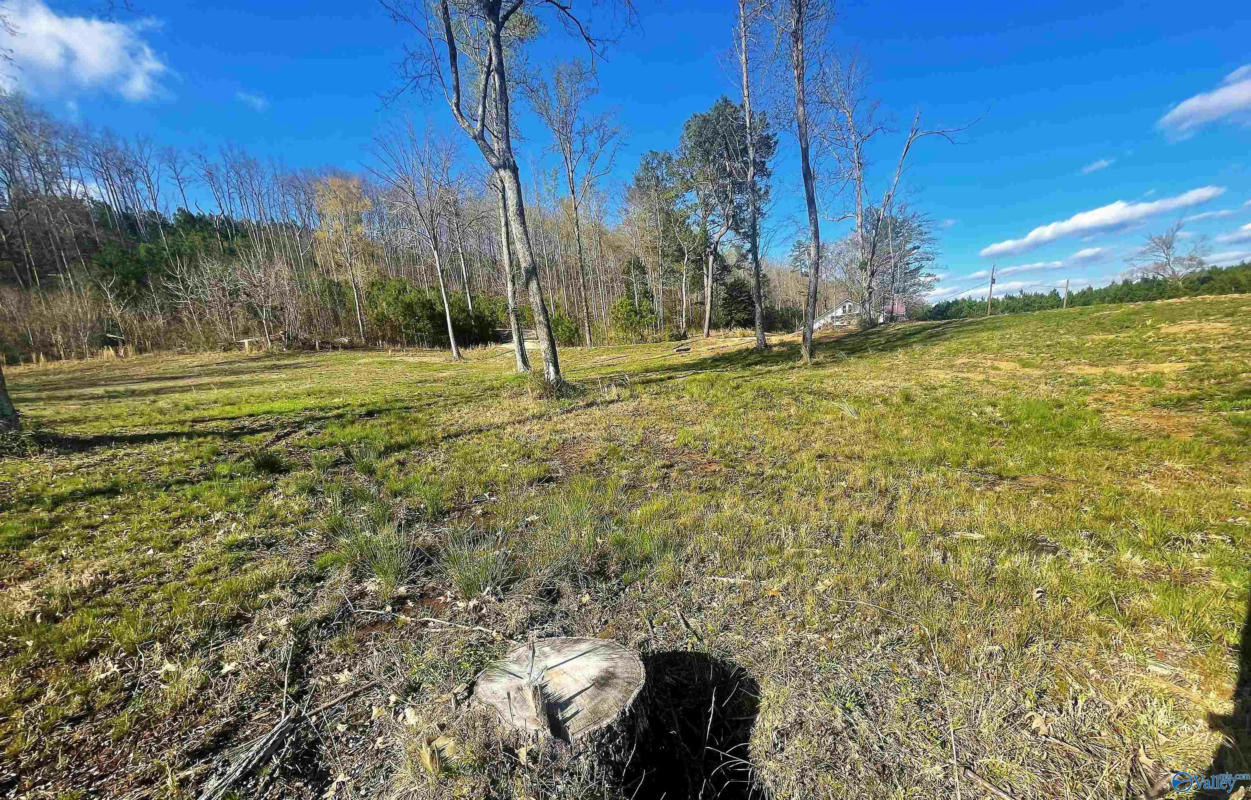 LOT 13 THOMPSON ROAD # LOT 13, ALTOONA, AL 35952, photo 1 of 3