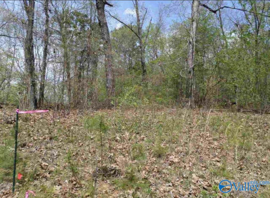 LOT 12 COUNTY ROAD 137, CEDAR BLUFF, AL 35959, photo 4 of 9