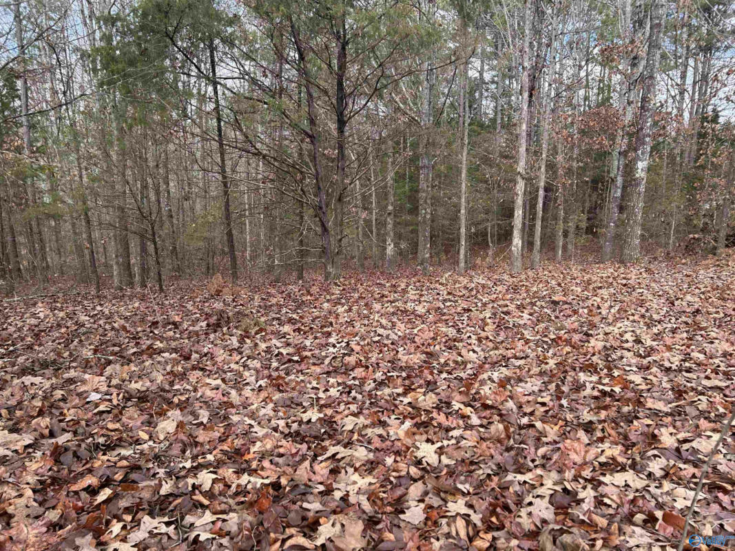 10 AC PENNYWINKLE CREEK LANE, CHEROKEE, AL 35616, photo 1 of 11