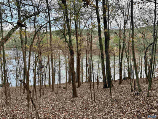 LOT 19 MOHAWK CLIFF ROAD, OHATCHEE, AL 36271, photo 3 of 14